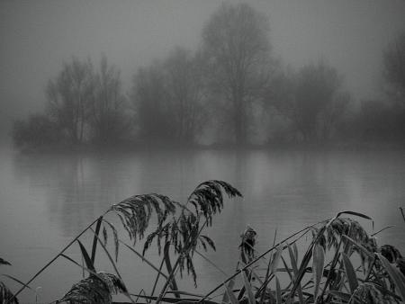 Brume et brouillard...