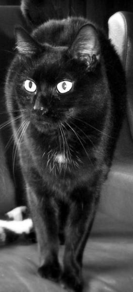 Noir Désir dans le noir....
