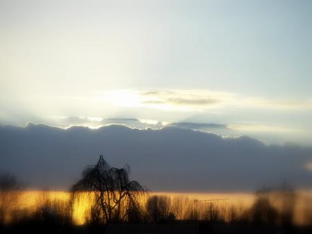 Paradis picard...