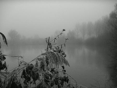 Brouillard du matin ...